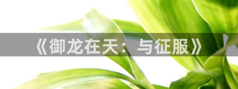 大神pc28官网开奖：《御龙在天：与征服》