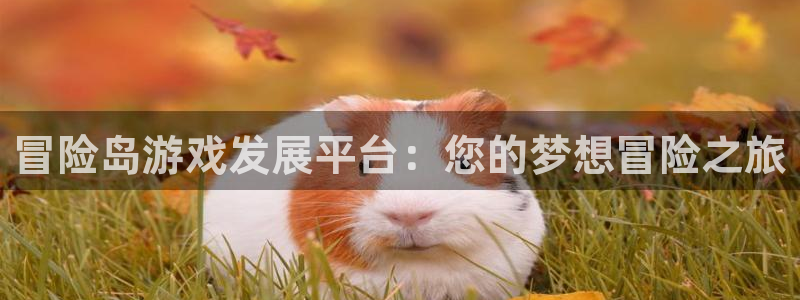 28大神预测app苹果：冒险岛游戏发展平台：您的梦想冒险之旅