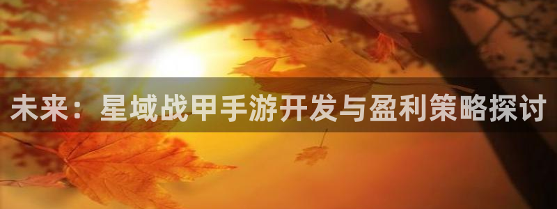 雷火电竞PC官网：未来：星域战甲手游开发与盈利策略探讨