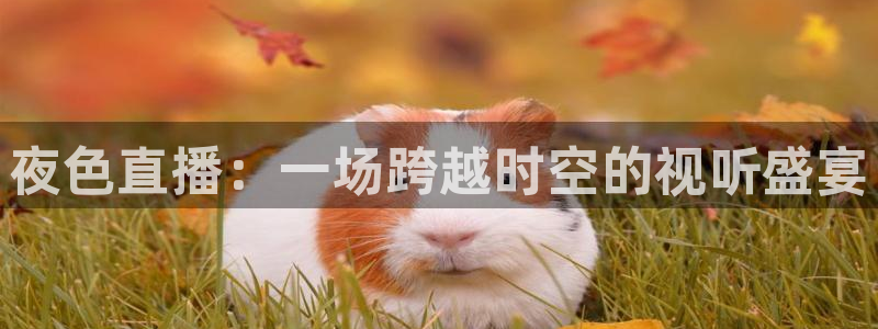 王者极速体育直播