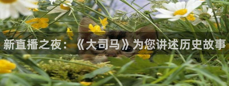 极速直播吧体育直播