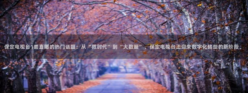 极速体育直播nba直播吧免费观看：保定电视台1套直播的热门话题：从“微时代”到“大数据”，保定电视台正迎来数字化转型的新阶段。