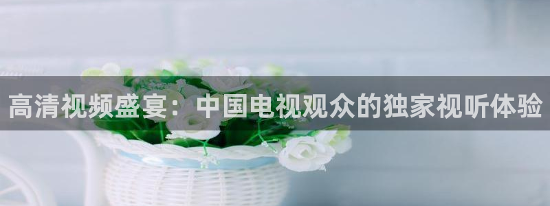 极速直播足球直播：高清视频盛宴：中国电视观众的独家视听体验